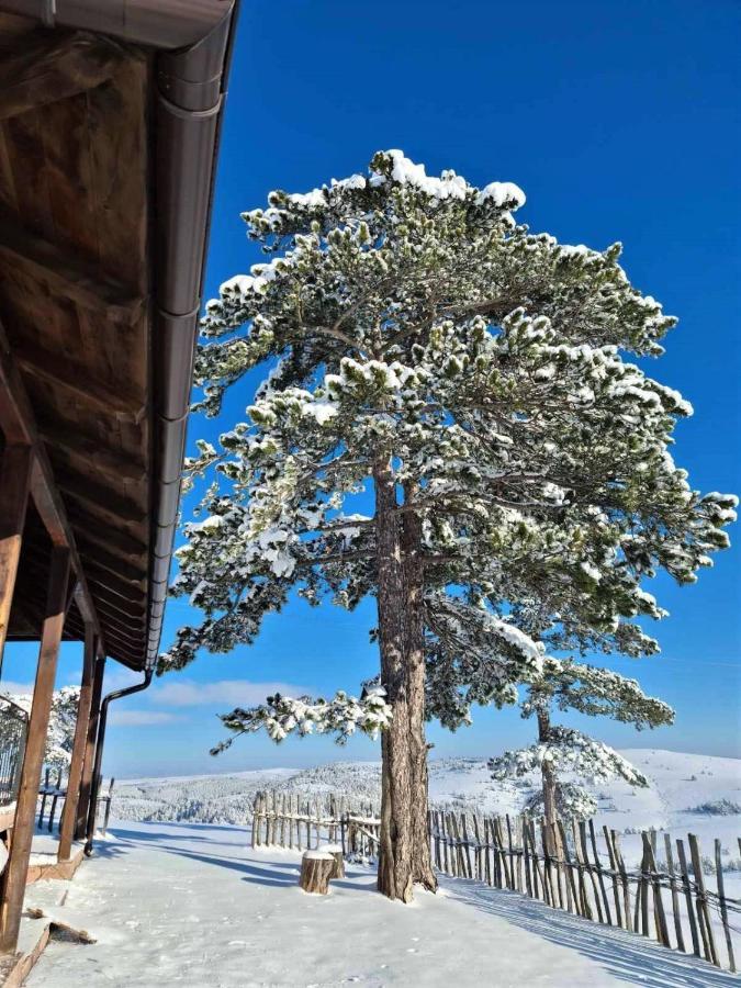 Casa vacanze Zlatiborski Katuni *